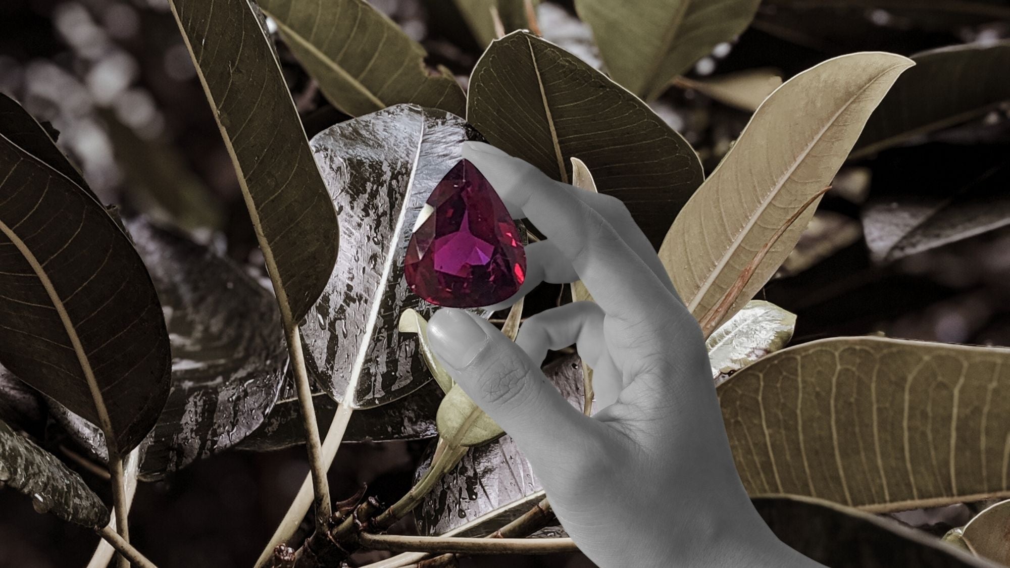 The Treasure Trove Loose Gemstones Collection | Sheena Stone